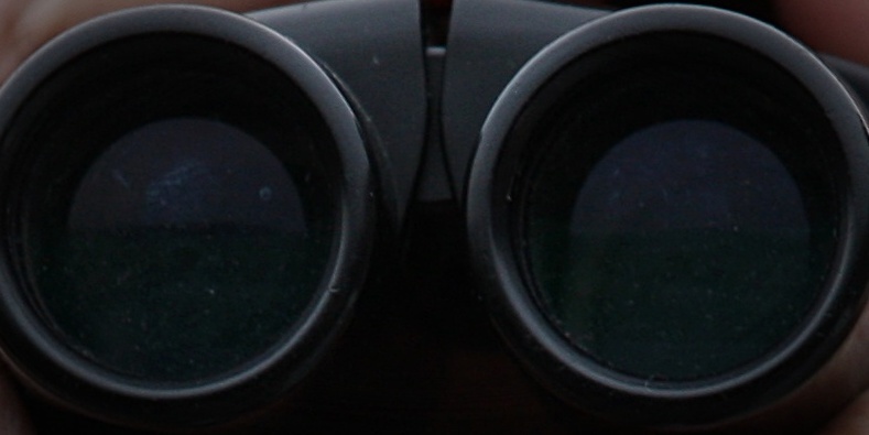 A racegoer watches the action through binoculars