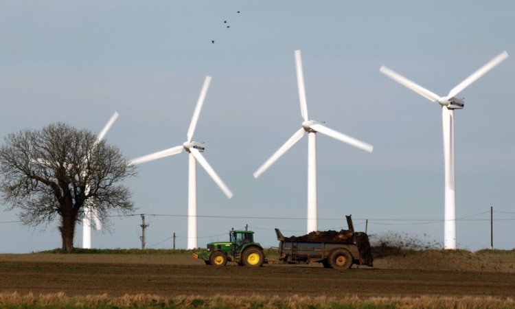 Wind power has fallen below expectations for 37% of investors, according to the survey.