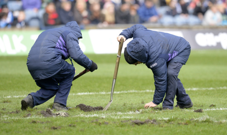 A parasitic infection has affected the pitch.