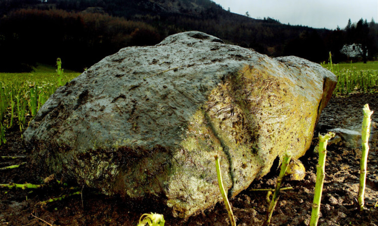 The ancient Dane's Stone has fallen after standing for almost 6,000 years.
