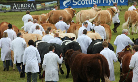 Richard Lochhead wants all Scotland's agricultural shows to cater with local produce