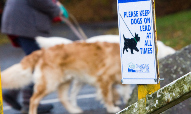 As part of the crackdown professional dog walkers may have their licences revoked if they are caught allowing animals in their care to foul public areas.