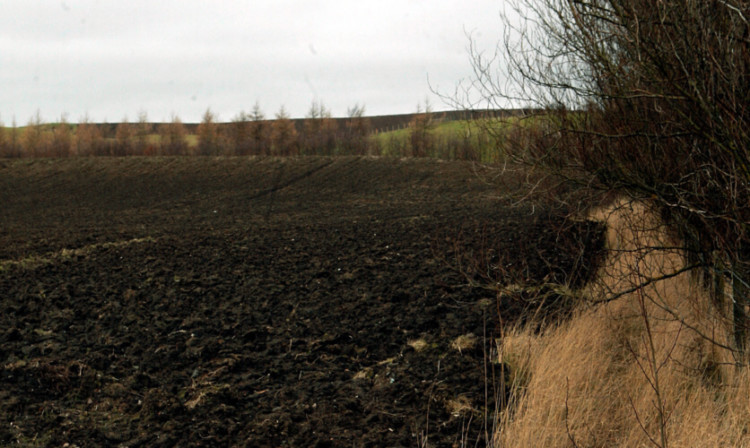 The proposed site of the woodland burial ground.