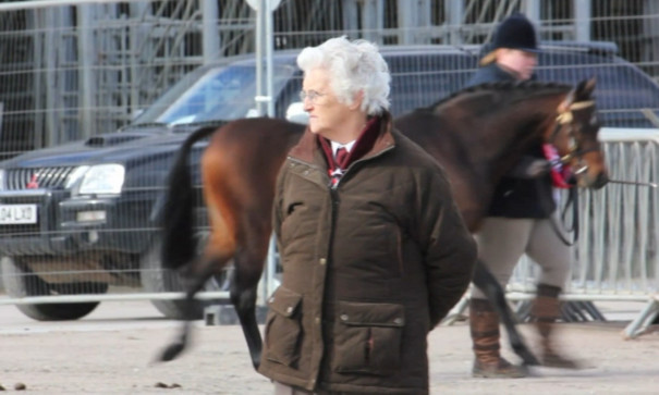 Valerie Irvine casting her eye over the section champions at Thainstone for the light horse supreme