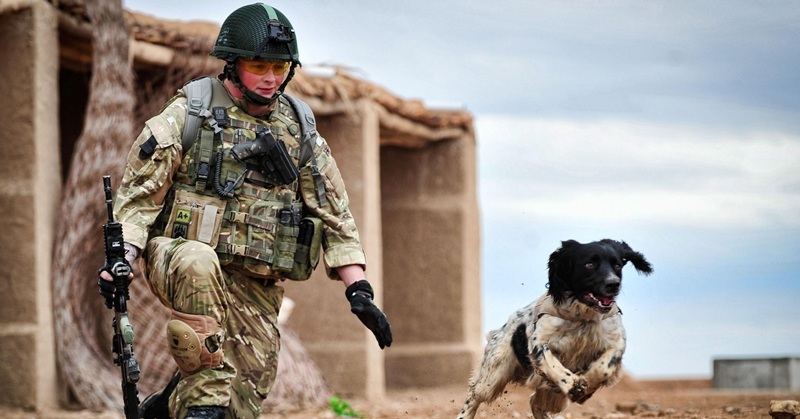 Handout photo issued by the Ministry of Defence dated 10/02/11 of Lance Corporal Liam Tasker with his Military Working Dog, Theo, training in Camp Bastion, Afghanistan. PRESS ASSOCIATION Photo. Issue date: Friday March 4, 2011. They served together and died together. Now Army dog handler Lance Corporal Liam Tasker and his springer spaniel Theo are to be flown home together. L/Cpl Tasker was shot on Tuesday while the pair were on patrol in Helmand province. Theo died of a seizure shortly afterwards. See PA story DEFENCE Dog. Photo credit should read: MoD Crown Copyright/PA Wire 
NOTE TO EDITORS: This handout photo may only be used in for editorial reporting purposes for the contemporaneous illustration of events, things or the people in the image or facts mentioned in the caption. Reuse of the picture may require further permission from the copyright holder.