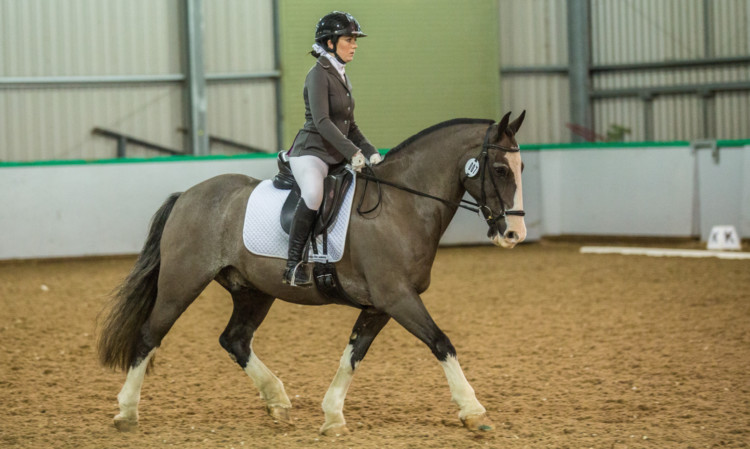 Lauren Butchart and Sir Todd marked their return to the dressage arena with two wins