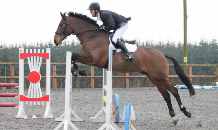 Courier working hunter champions Les Thomson and Stonebyres Barry took a British Novice win