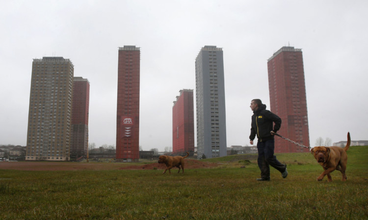 A man walks his dogs past the Red Road flats that are set to plan an explosive role in the games opening.