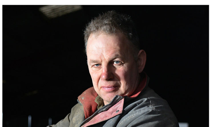David McCall had six sheep killed in a dog attack.