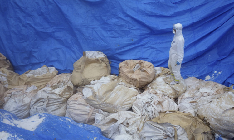 A worker stands on top of bags of dead chickens after H5 virus was detected in two birds in western Japan.