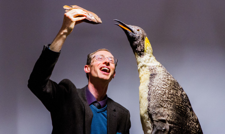 Dundee University curator of museum services, Matthew Jarron, with the rediscovered penguin.
