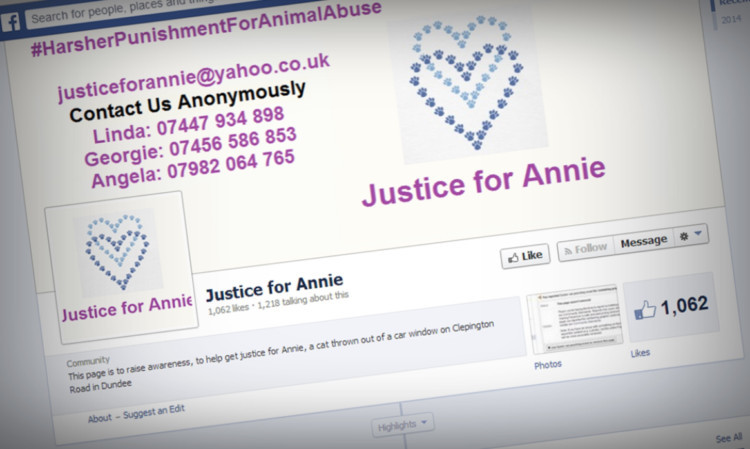 Over 1,000 people have liked the Justice For Annie Facebook page.