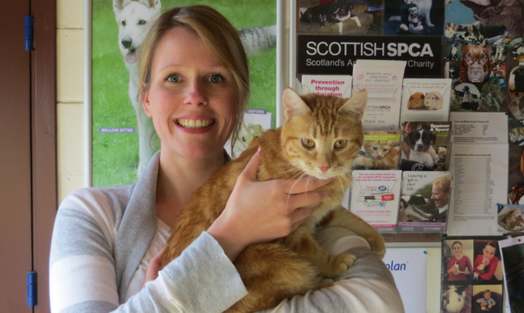 Suzie Grant is reunited with Mort, who was found 424 miles from her registered address but had only travelled six miles.