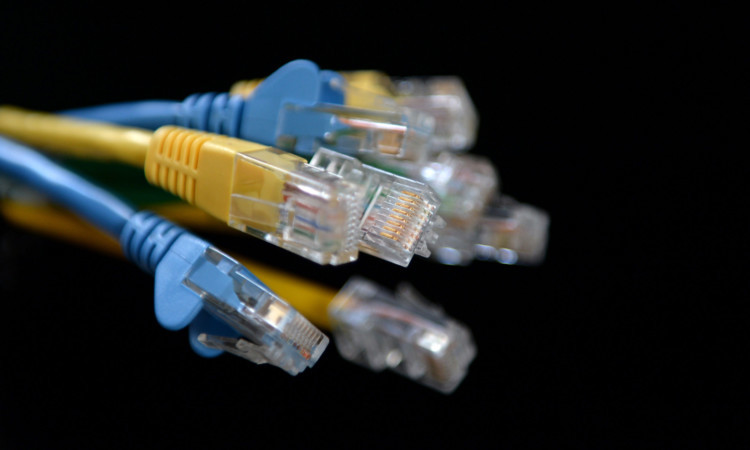 Detailed view of a bunch of Ethernet cables