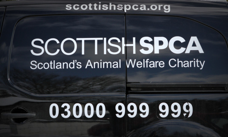 The Scottish SPCA said the dog would have suffered a painful and violent death.