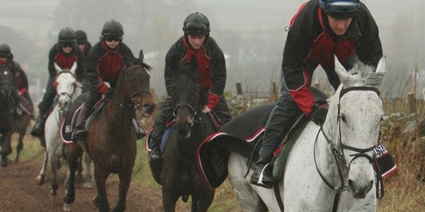 Silver By Nature with jockey Peter Buchanan leads the pack at the gallops, at the Lucinda Russell Stables, Milnathort.   Photocall for horse taking part in the Grand National.