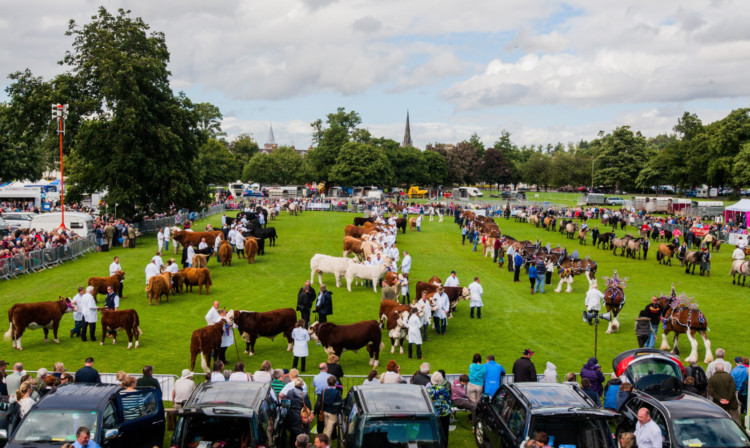 The grand parade of livestock at last years Perth Show on the South Inch, which is to be the events new permanent home.