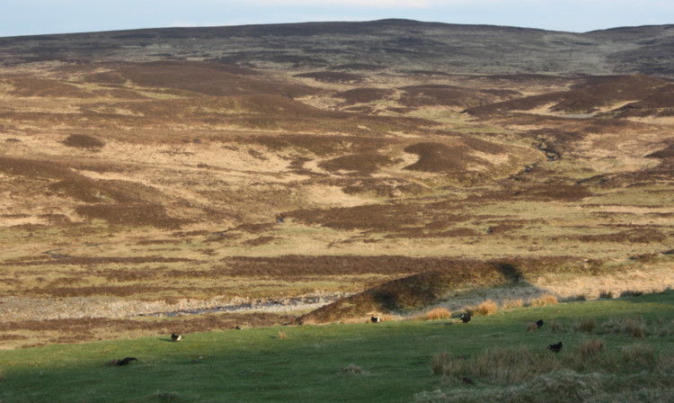 Splitting of the rough grazing area is deemed necessary to stop excessive support payments going to the most unproductive hill land.