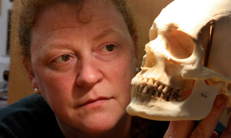 Professor Sue Black has been appointed a Royal Society Wolfson Research Merit Award holder.