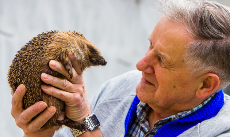 Edinburgh and hedgehog expert Sandy Boyd.