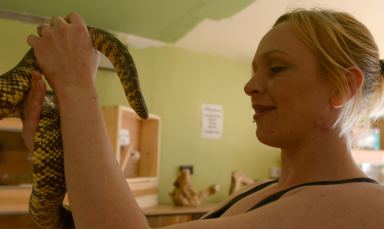 Debbie with the rescued snake, which is now recuperating in her shop, Strictly Exotics.