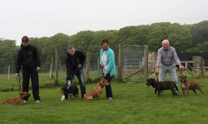 Jamie Hill, Amanda Gibson, and Heather and Ian Robb with some of the Staffies at Angus Dog Rescue.