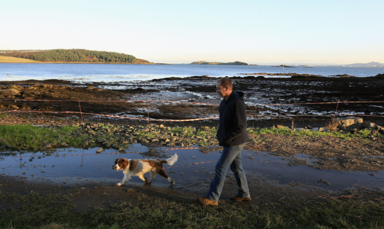 A dog walker at Dalgety Bay beach.