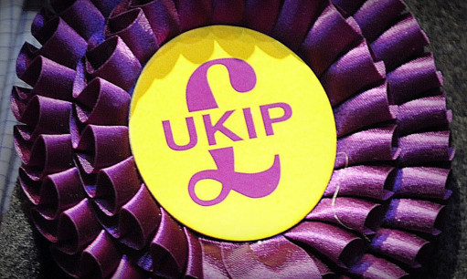 A UKIP candidate's rosette during the local elections count and declarations at the Towngate Theatre in Basildon, for the Basildon and Wickford districts, in Essex. PRESS ASSOCIATION Photo. Picture date: Friday May 3, 2013. See PA story. Photo credit should read: Nick Ansell/PA Wire