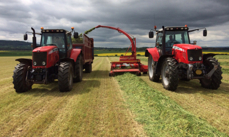 Andrew Steel at his first cut silage at East and Mid Ingliston, Forfar, with Matthew carting and Andrew on the forage harvester.