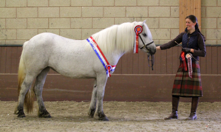 rowan and Marguerite Osbornes two-year-old filly rosamaria na Dailach