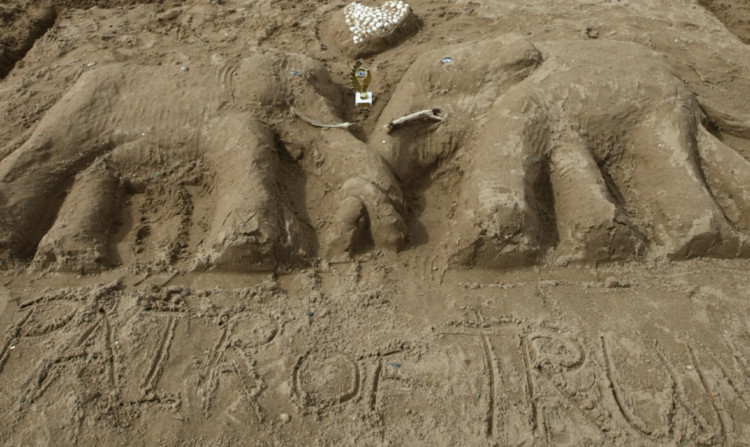 "A pair of trunks", the winning entry in last year's Gala Week sand sculpture competition.