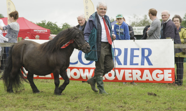 Farming editor Ewan Pate with Kerryston Ernest in the parade at Angus Show.