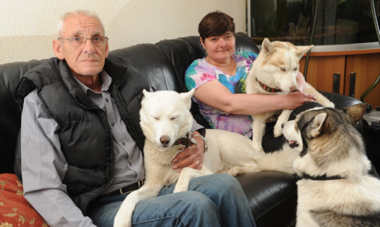 Jim and Silvia with three of their other four dogs.