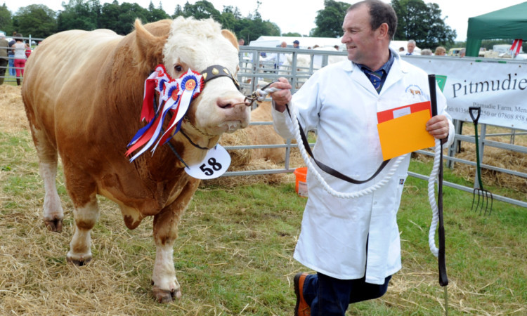The champion of champions was a Simmental, Grangewood William, from Gerald and Morag Smith, Drumsleed, Fordoun.