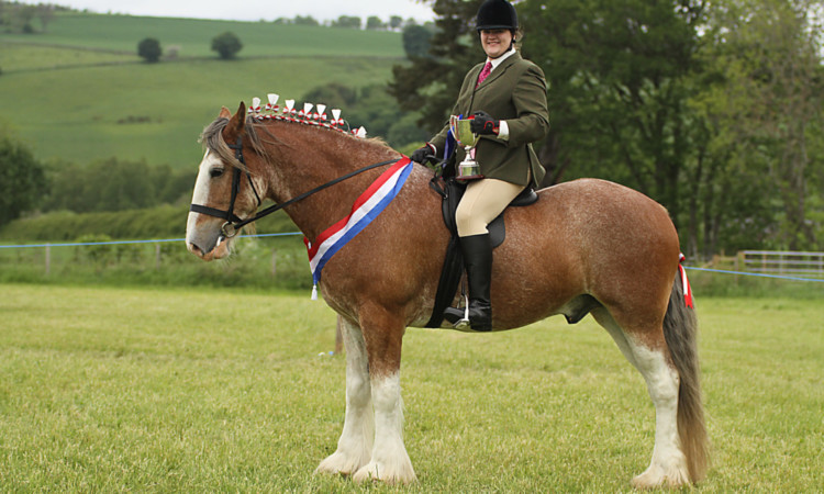 enjoying supreme success at the Grass sickness show: Highland Perfect expression and Kathryn Prentice