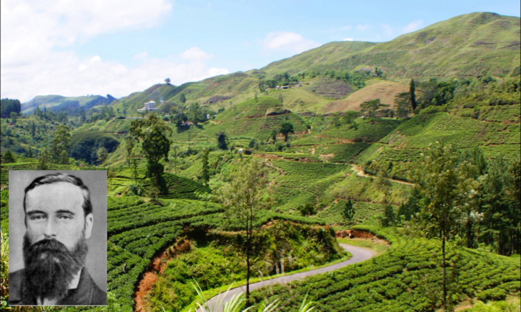 Sri Lankas tea plantations and (inset) James Taylor.