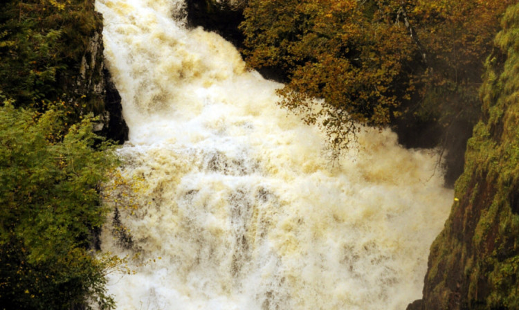 Reekie Linn is one of the most spectacular beauty spots in Courier country.