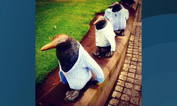 It may be summer but the penguins are still wrapped up against the elements in Dundee.