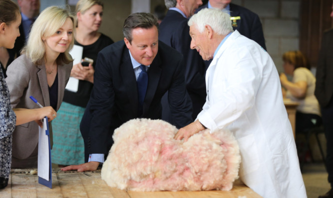 Prime Minister David Cameron at the show.