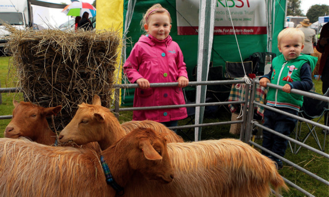 Chloe and Josh McNaughton with some minority breed Golden Guernsey Goats.