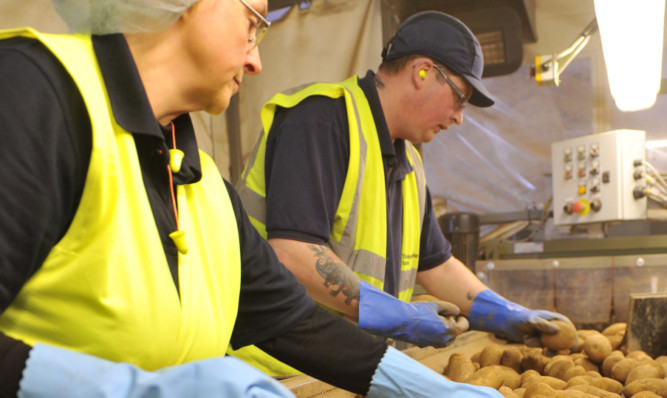 Packing facilities at Clayholes Farm  included in a £249m deal by the Wellcome Trust for the Co-operative Groups farming business.