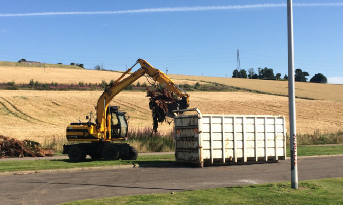 Council workers needed two skips to collect the waste left behind by Travellers.