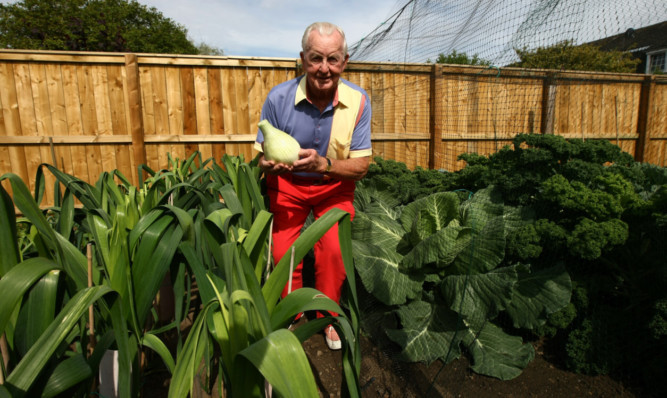 Jim Thomson in his garden with some of his giant vegetables.