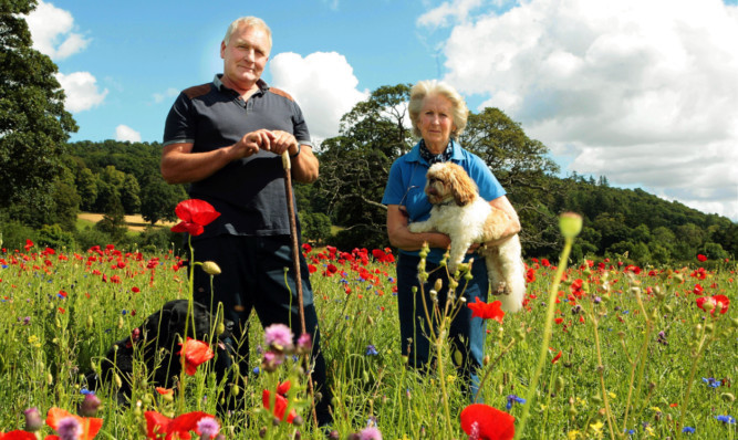 Dave Dawson and Mary Sheepshank in the poppy field.