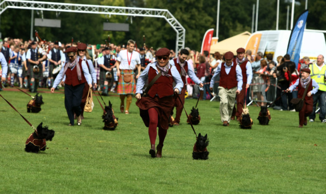 The Commonwealth Scottie dogs had their own race.