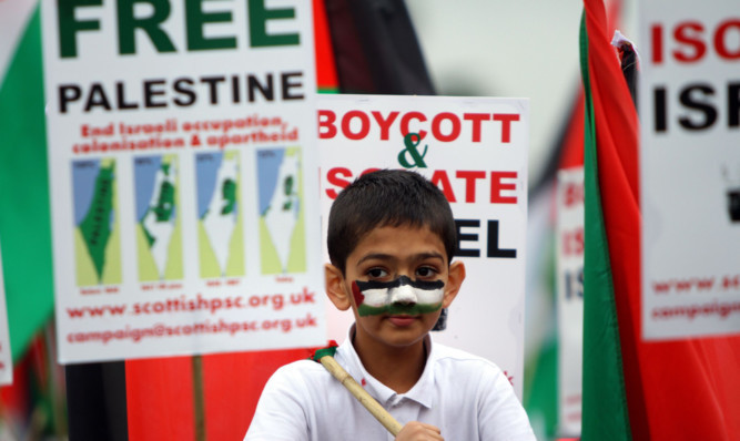 A young protester at a recent pro-Palestinian rally in Fife.
