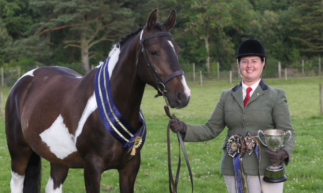 Supreme champions at the Scottish Coloured Horse Show for 2014 - Machiatto and Carolyn Robertson