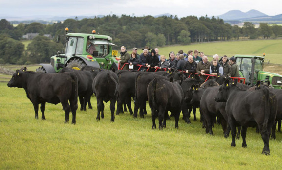 More than 1,000 beef farmers attending the centenary open day of the Wedderlie Aberdeen-Angus herd were told it is showing the way with the use of technology in the breeding programme.