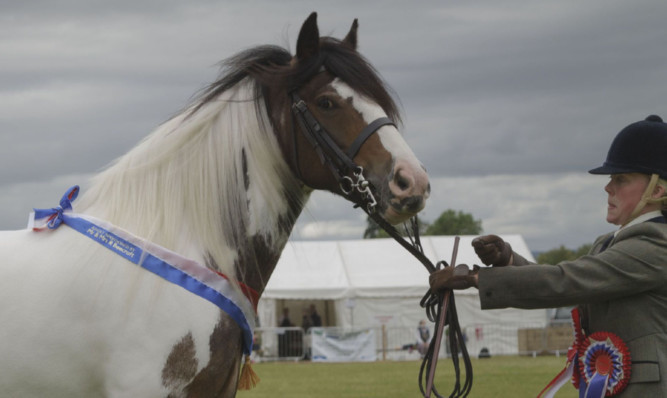 Overall horse champion was Rebecca Copland's coloured champion Dolly XIII