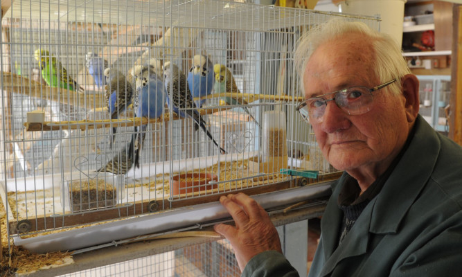 Mr Shepherd with some of the birds that survived the attack.